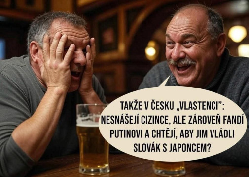Situace v Česku